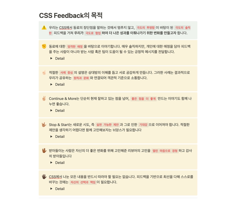 (이미지2) 실제 CSS 진행 문서에 적혀있는 피드백 목적과 원칙, 주요 포인트들